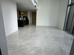 Amber Park (D15), Condominium #589756691